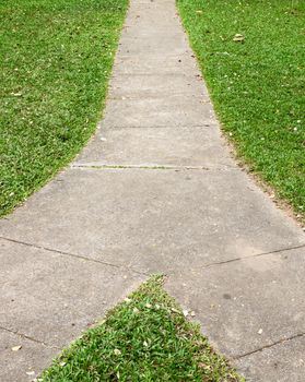 Fork in the pathway with grass