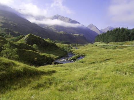 Green grass of a mountain