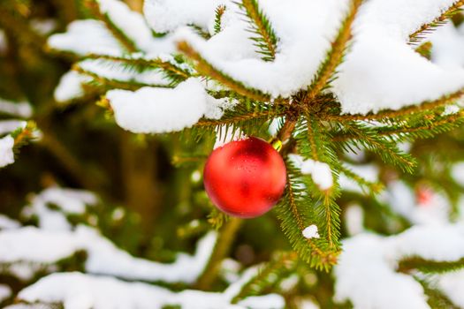 Merry Christmas and a Happy New Year Red Ornament