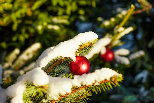 Merry Christmas and a Happy New Year Red Ornament