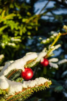 Merry Christmas and a Happy New Year Red Ornament