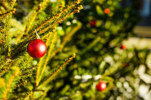 Merry Christmas and a Happy New Year Red Ornament