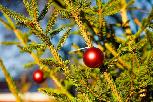 Merry Christmas and a Happy New Year Red Ornament