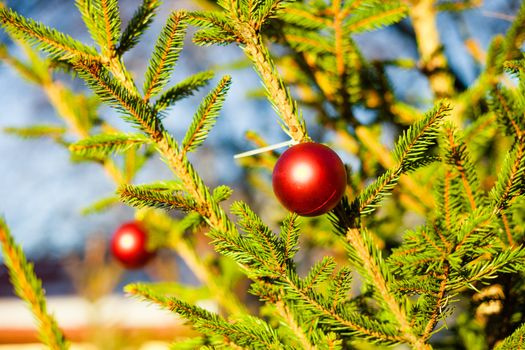 Merry Christmas and a Happy New Year Red Ornament