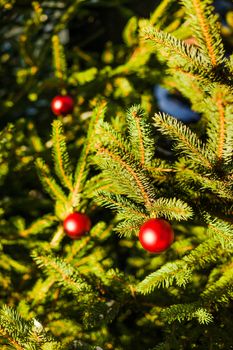 Merry Christmas and a Happy New Year Red Ornament