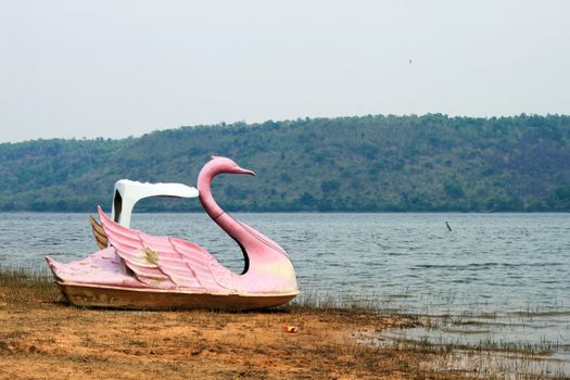 swan pedal boat and river