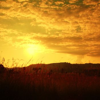 Beautiful sunset over mountains with grass silhouette