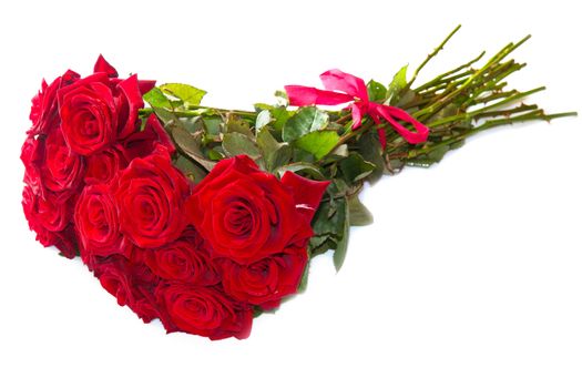 Red roses isolated on white background 