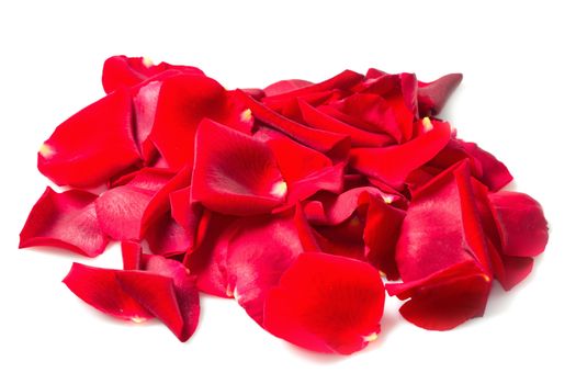 Background of red rose petals