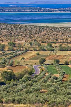 Olive trees grove field, Vrana lake and Kornati national park