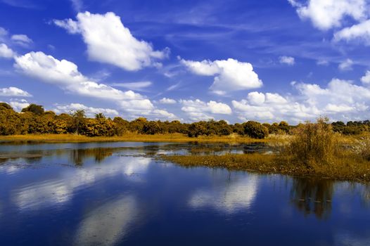 Autumn landscape. Lake near the Thai-Cambodian border.