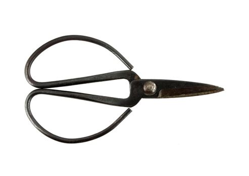 Old scissors on white background