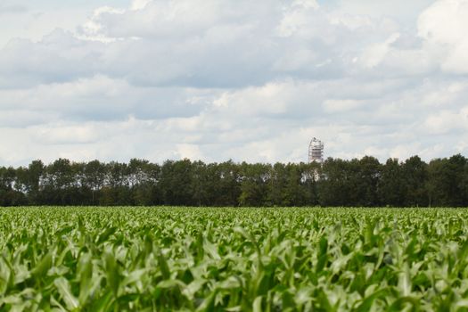 Radio Television Tower collapsed (Holland)