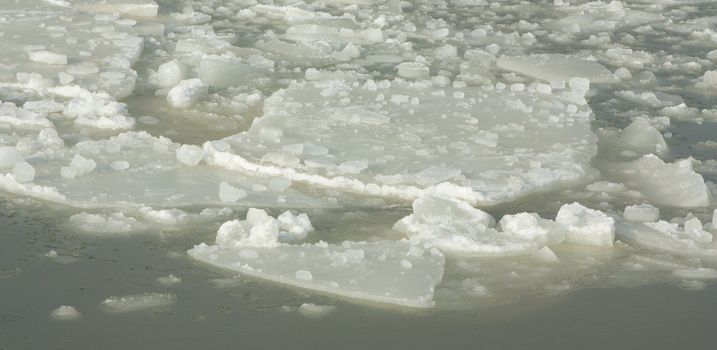 Ice in a harbour at the dutch waddensea