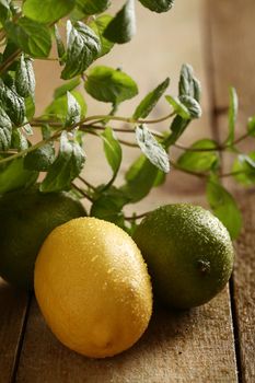 Green lime, yellow lemon and fresh mint on wooden surface