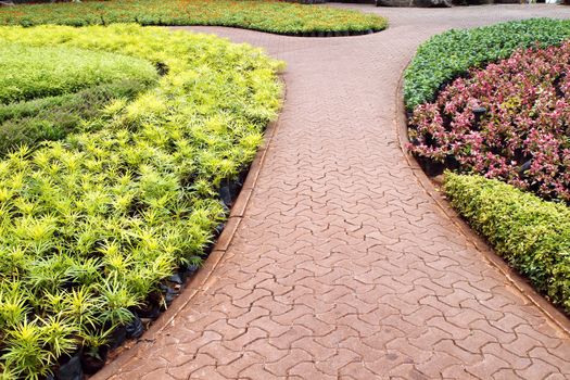 Stone pathway in garden