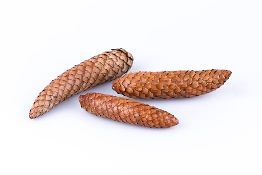 Three pine cones isolated on a white background