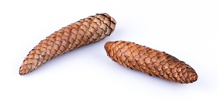 Two pine cones isolated on a white background