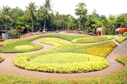 Tourist Attraction : A beautiful Butterfly Hill at Nong Nooch Tropical Botanical Garden, Pattaya