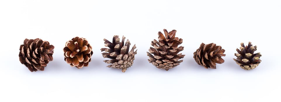 Six pine cones isolated on a white background