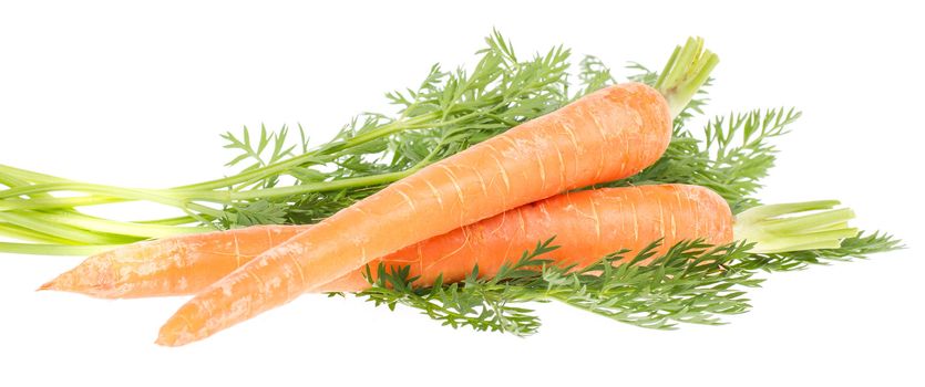 Heap of carrots isolated on a white background