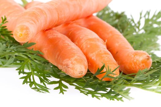 Heap of carrots isolated on a white background