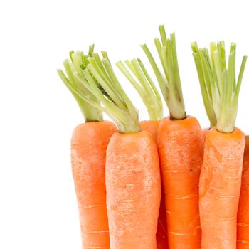 Heap of carrots isolated on a white background