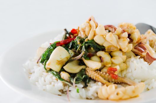 squid  fried with chilli pepper and sweet basil and rice