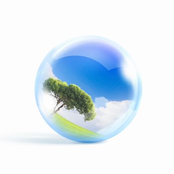 A green tree inside a transparent glass sphere