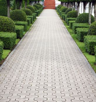 Stone pathway in garden