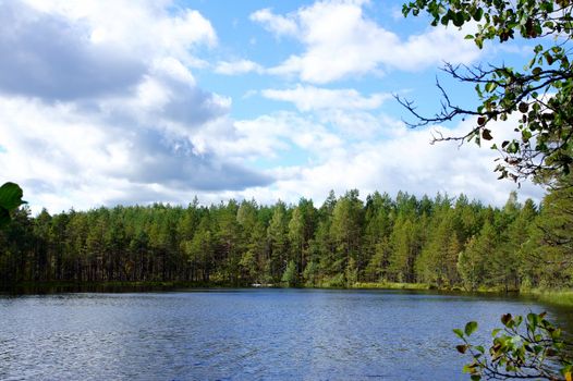 Lake and trees on a background of the blue sky