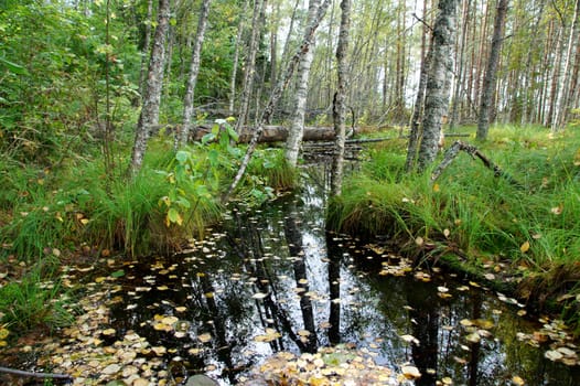 River  on a background of the blue sky