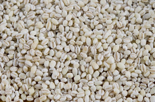 Pearl barley texture background full frame