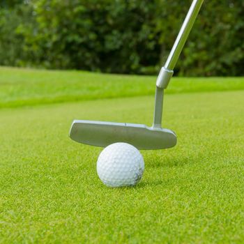 Golf ball on front of a driver at driving range