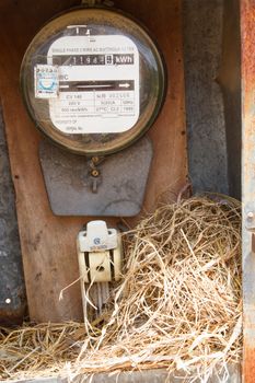 Nest of a sparrow in a cabinet with electrical meter (Vietnam)