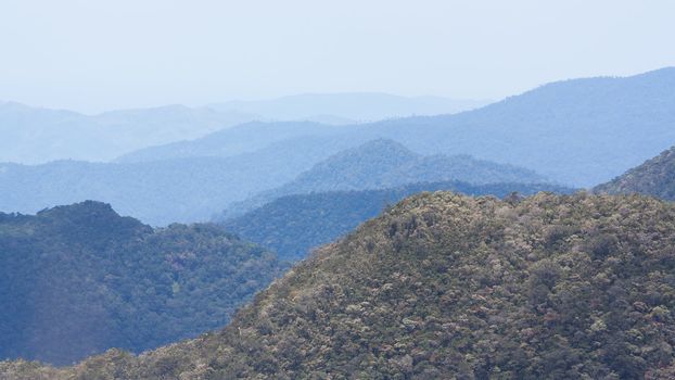 View of a the Vietnamese jungle in a beautiful early morning with fog between hills