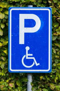 Close-up of a dirty parking sign for disable people