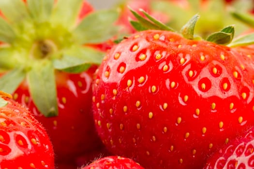 Collection of fresh dutch red strawberry, isolated