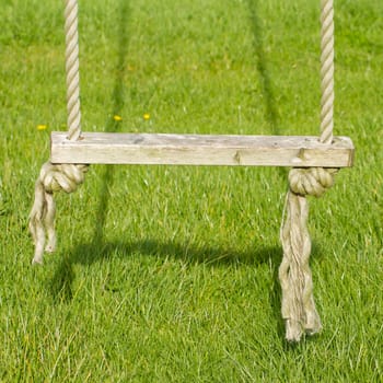 Old wooden tree swing with green grass background