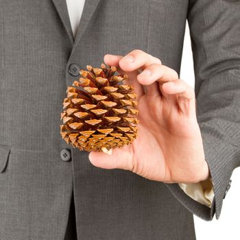 Man in grey suit is holding a pine cone, isolated
