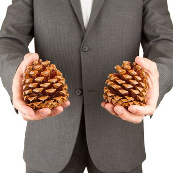 Man in grey suit is holding two pine cones, isolated