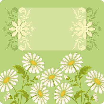 Floral holiday background with chamomile flowers and frame