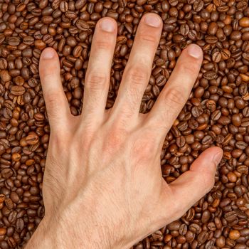 Coffee beans in hand (white male), isolated