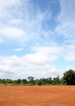 Landscape of Bare Earth and tree with a Beautiful Blue Sky Above