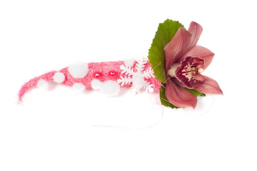 Shot of orchid in studio isolated on white