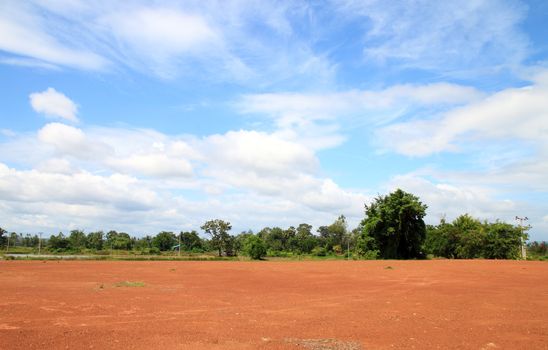 Landscape of Bare Earth and tree with a Beautiful Blue Sky Above