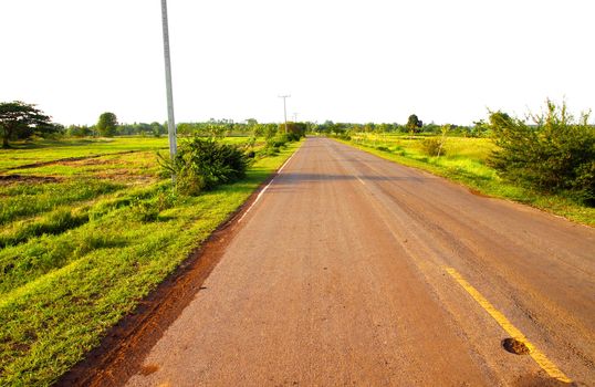 A country road running through green fields, Thailand