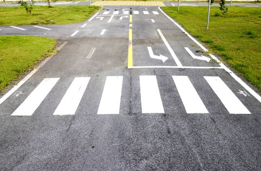 zebra way on the asphalt road surface