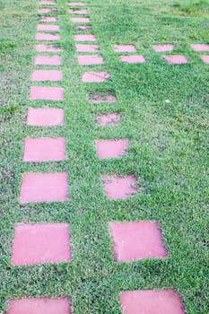 stone way in green grass