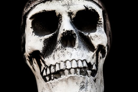 Human anatomy - ancient people skull bone